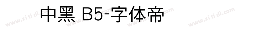 汉仪中黑 B5字体转换